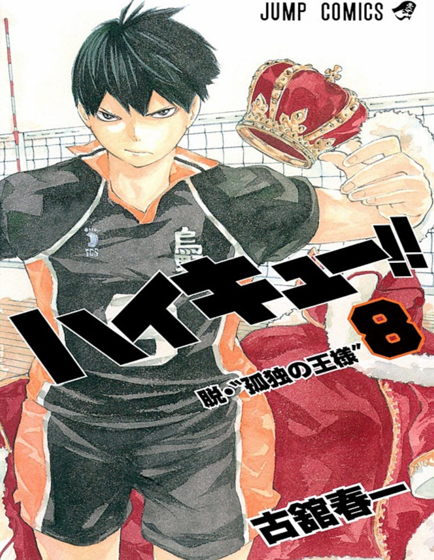 Haikyuu!! Manga Collection | Complete Digital Volleyball Sports Manga Series | Instant Download | High-Quality PDF Bundle for Anime & Manga Fans