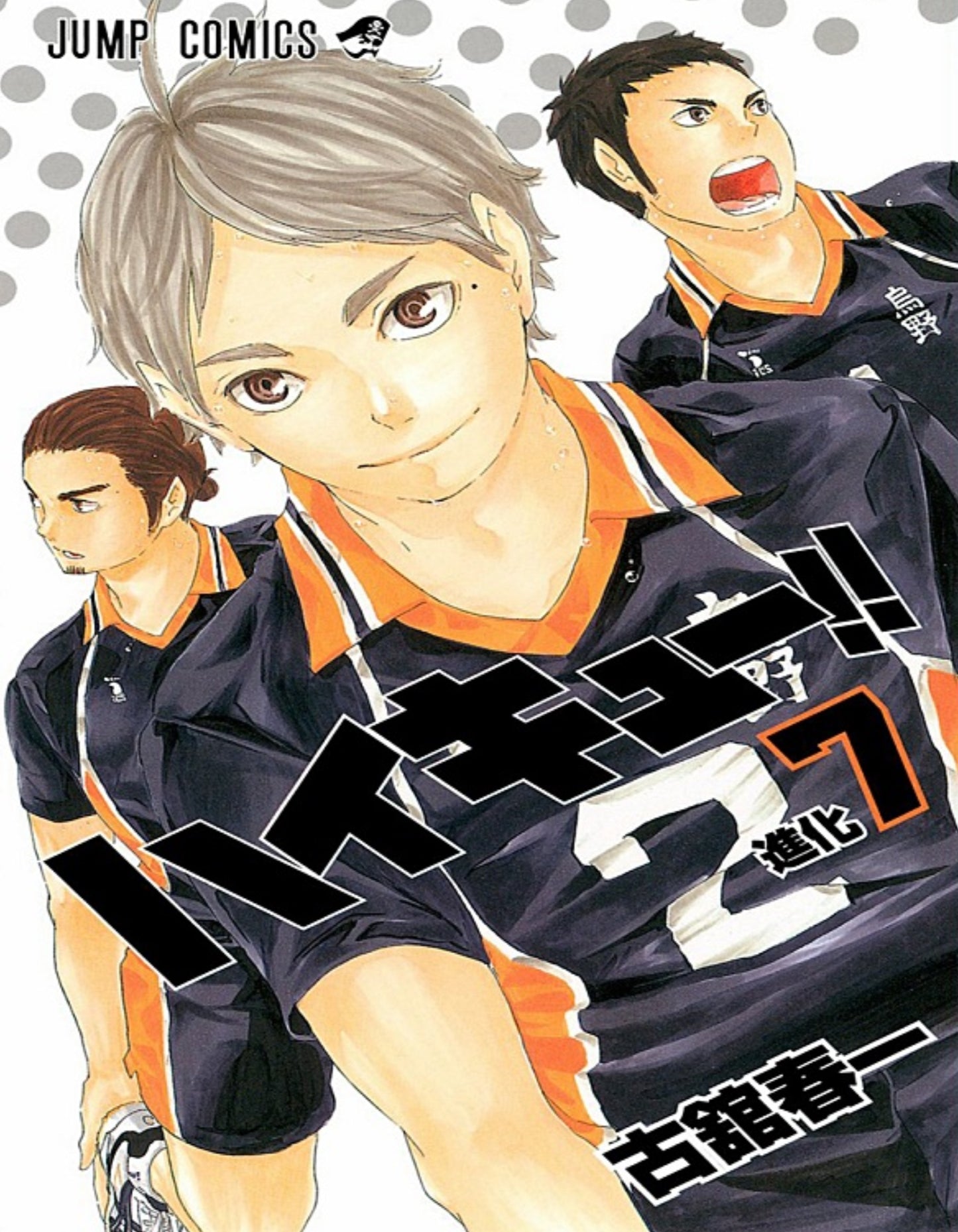 Haikyuu!! Manga Collection | Complete Digital Volleyball Sports Manga Series | Instant Download | High-Quality PDF Bundle for Anime & Manga Fans