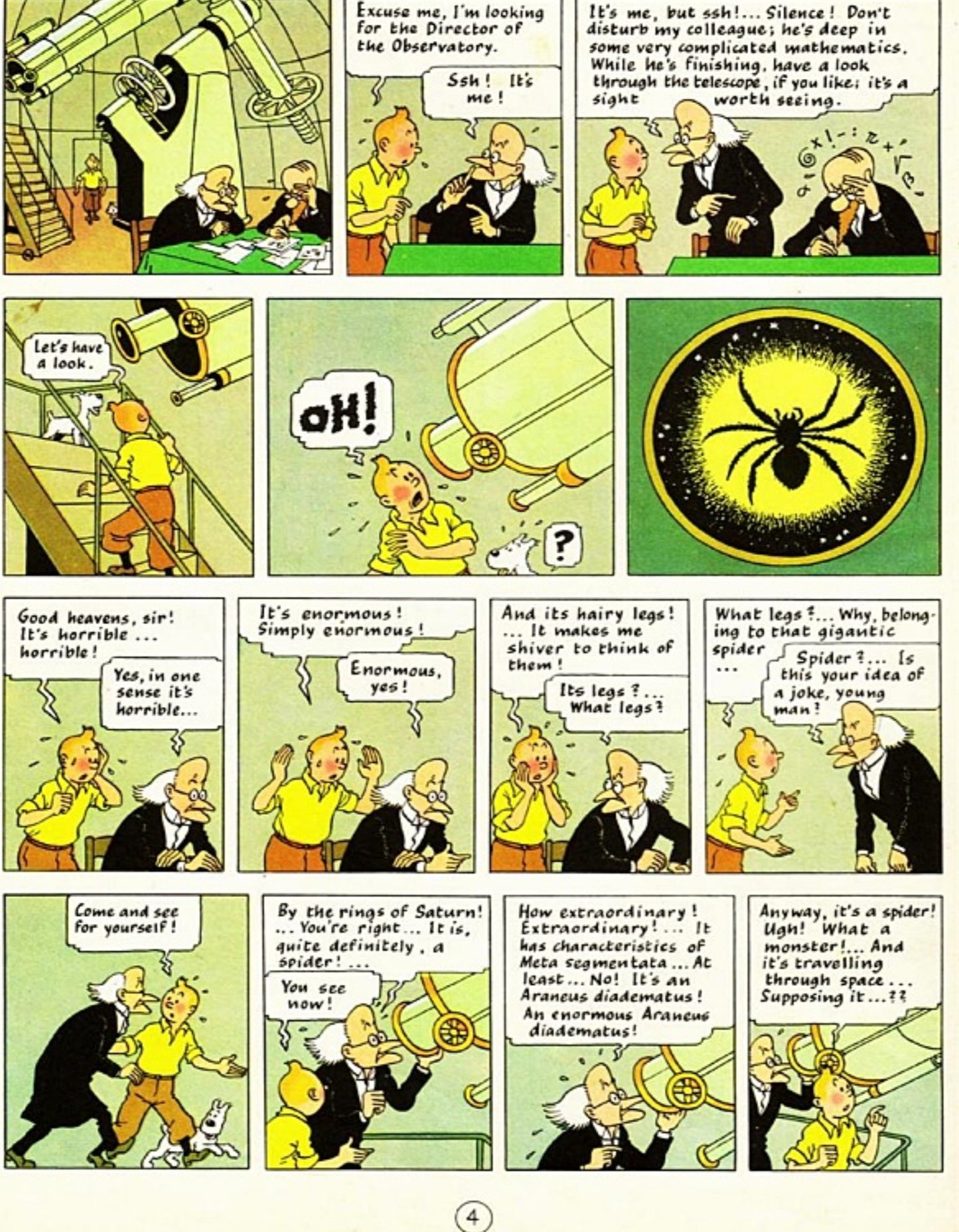 Die Abenteuer von Tim und Struppi | Komplettes digitales Set | Klassisches Abenteuer des 20. Jahrhunderts | Beliebte Detektivserie