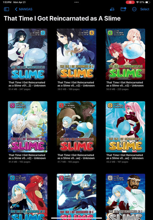 That Time I Got Reincarnated As a Slime Manga Collection | Complete Digital Set | PDF Format | Instant Download | Compatible with All Devices